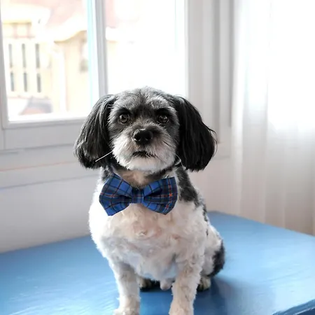 Blaueblumeurlaub Apartmán *