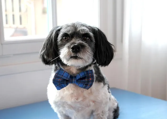 Blaueblumeurlaub Lejlighed *